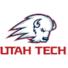 犹他理工大学